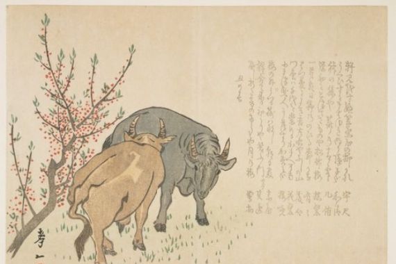 Yoshimura Kiitsu