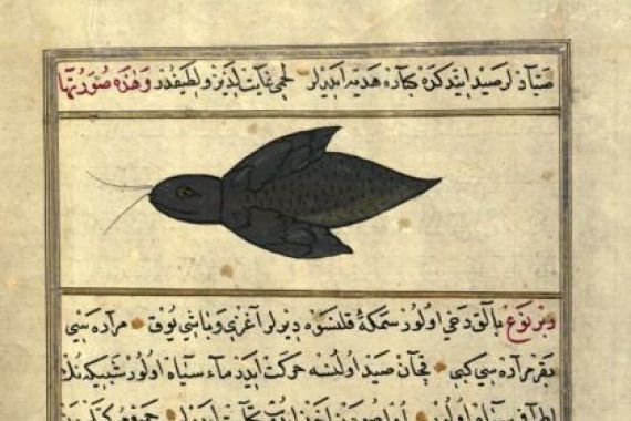 Zakariya al Qazwini