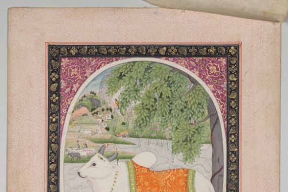 attributed to Sanju