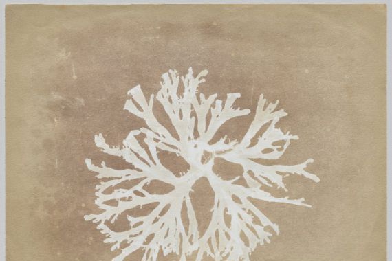 circle of William Henry Fox Talbot