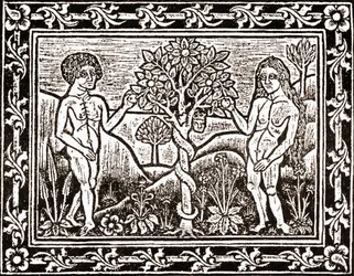 A árvore da qual Adão comeu a maçã, facsimilie de um livro de meditação, o primeiro livro impresso em Albi, Languedoc, em 1481