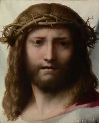 Cabeça de Cristo, c.1530 (óleo no painel)