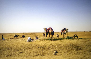 No deserto