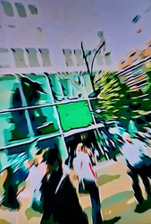 Verde urbano