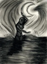 Entre a lua e o mar