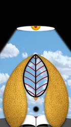 A luz pensativa