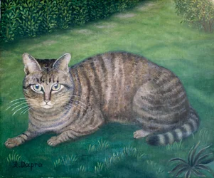 A gata Júlia