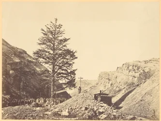 Árvore de Mil Milhas, Passo de Wilhemina
