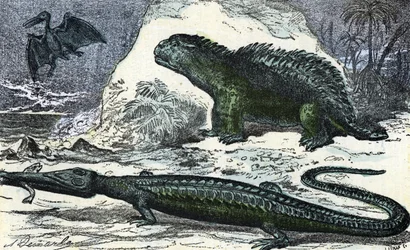 Pré-história: representação de um teleossauro (focinho alongado) e de um hileossauro do período Jurássico" (Pré-história, Jurássico: teleossauro e hileossauro) Gravura de "Nature and Man" de Rengade 1881 Colecção privada