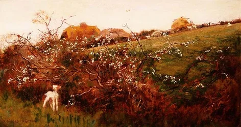 Primavera