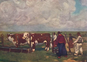 Pedigree Oxen on aa Lemco Estancia, 1916