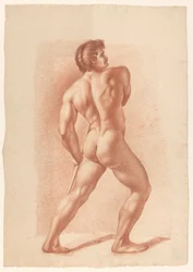 Nu masculino de pé, visto de costas
