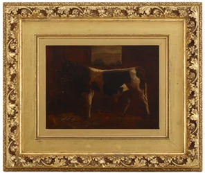 Um Touro Prêmio, 1870.