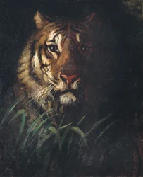 Cabeça de Tigre, c. 1874.