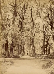México. Bosque de Chapultepec, Perto do México