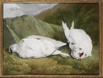 Lagópode dos Alpes