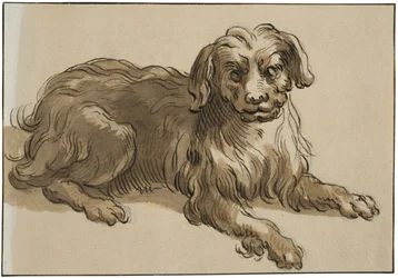 Cão de pelo comprido