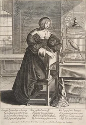 O papagaio, 1620-76.