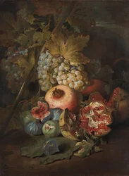 Cachos de uvas, romãs e figos numa paisagem