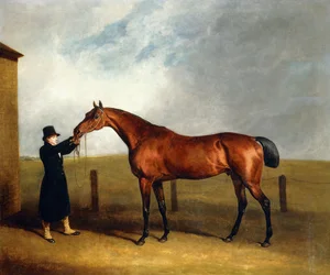 Trufa de Colt Bay do Coronel Udny por Feiticeiro Realizada por um Noivo, 1815