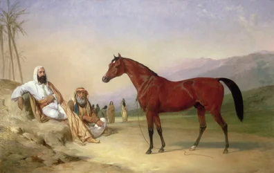 Dois Beduínos com um Garanhão Árabe da Baía no Deserto