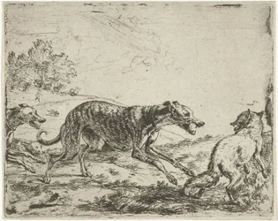 A raposa e os três cães