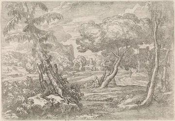 Paisagem arborizada