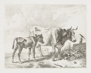 Vaca e um bezerro em um prado