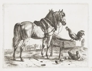 Cavalo em um alimentador