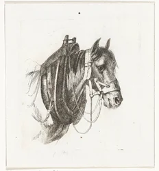 Cabeça de cavalo com freio, arreios e sela