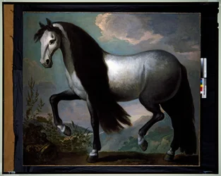 Cavalo numa paisagem