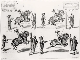Ilustração de um manual de equitação, gravado por Peeter Clouwet (1629-70), 1658