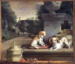 Dois cães em um parque