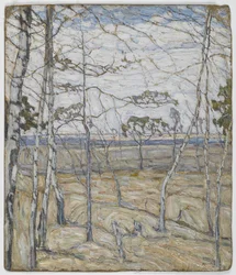 Árvores de vidoeiro