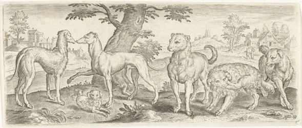 cães Animais (título da série)