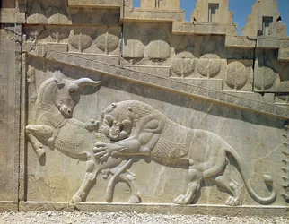 Leão a lutar com um touro, relevo na escadaria oriental da Apadana, período aqueménida, c. 515