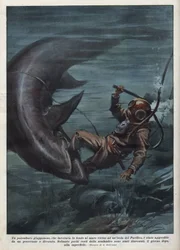 Um mergulhador japonês com um scaphandler foi devorado por um tubarão no Oceano Pacífico. Ilustração de Achille Beltrame de "La domenica del corriere" de 08/08/1937.