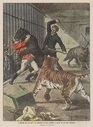 O drama do zoológico, um domador de feiras agredidas e mortas por um urso raivoso