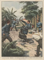 A luta entre uma jibóia e os atendentes de um zoológico para libertar o zelador