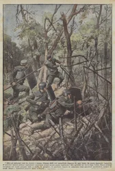 Além das secções transversais entre tronco e tronco, verano de redes metálicas dispostas em cada direção