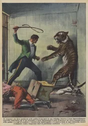 Um domador que deu um show na gaiola de um tigre, em uma cidade francesa