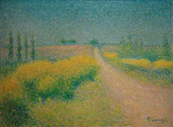 O caminho das vassouras