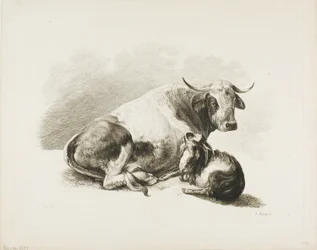 Peça animal