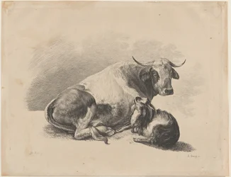 Vaca e cabra deitadas, 1800-01.