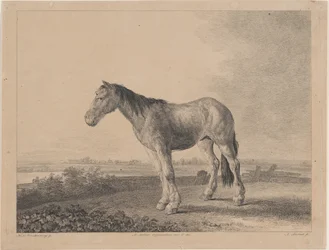 Cavalo parado em um campo de perfil à esquerda, 1809.