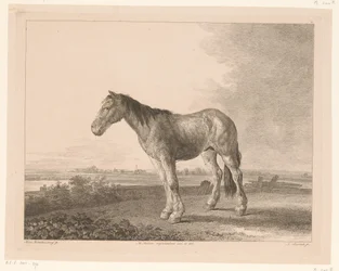 Cavalo em pé em uma paisagem fluvial Animais após pinturas de mestres holandeses (título da série) Différens animaux graves d