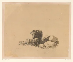 Pavimento de pé em frente de um cão reclinável e de um homem adormecido
Seis estampas após desenhos de Adam von Bartsch na colecção de Heinrich Xaver Ritter von Hauer (título da série)
Six estampes gravées par Adam de Bartsch d