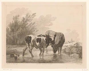 Duas vacas num ribeiro
Animais após pinturas de mestres holandeses (título da série)
Différens animaux gravés d
