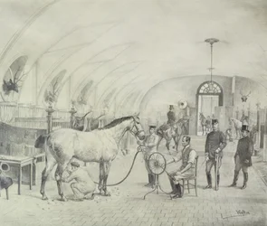 The Royal Stables: preparação da manhã (lápis)