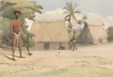 "Feejee hair-dressing; de um dos filhos mais novos de Tanoa, 7 de outubro de 1849 [Fiji]